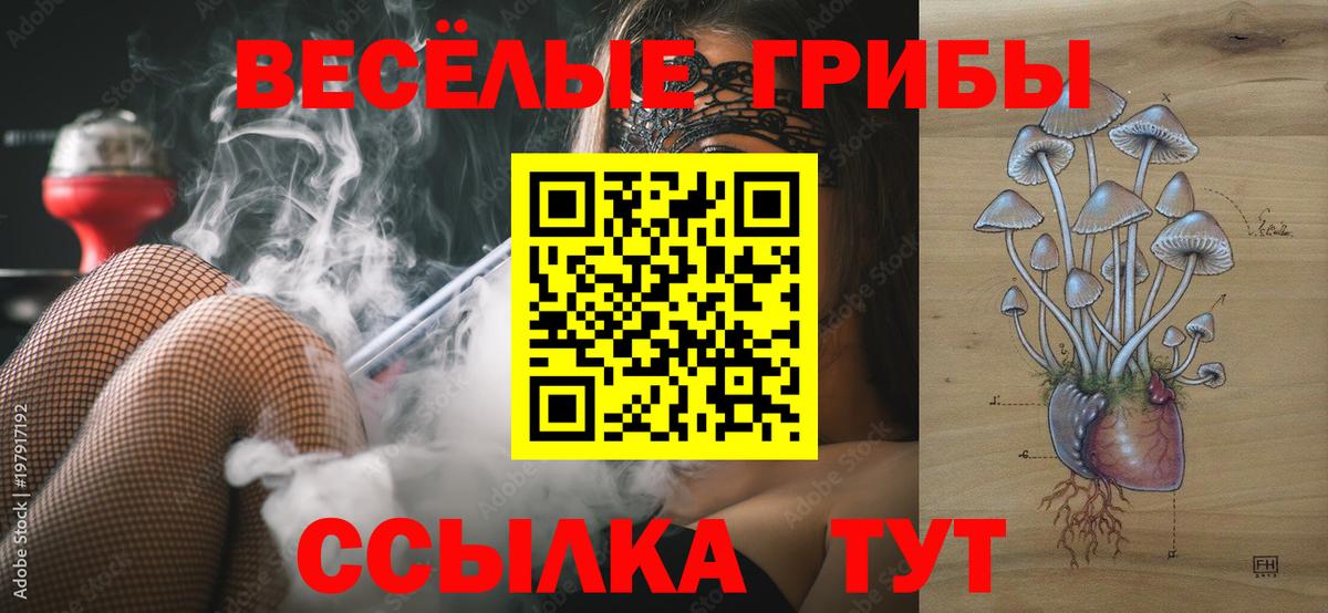 Галлюциногенные грибы Cubensis  Вход с VPN  Щёлково 